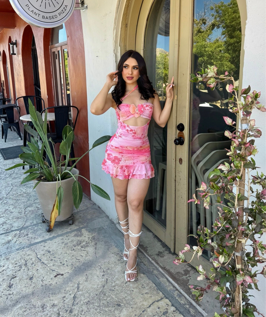 Marisela Dress Rosa
