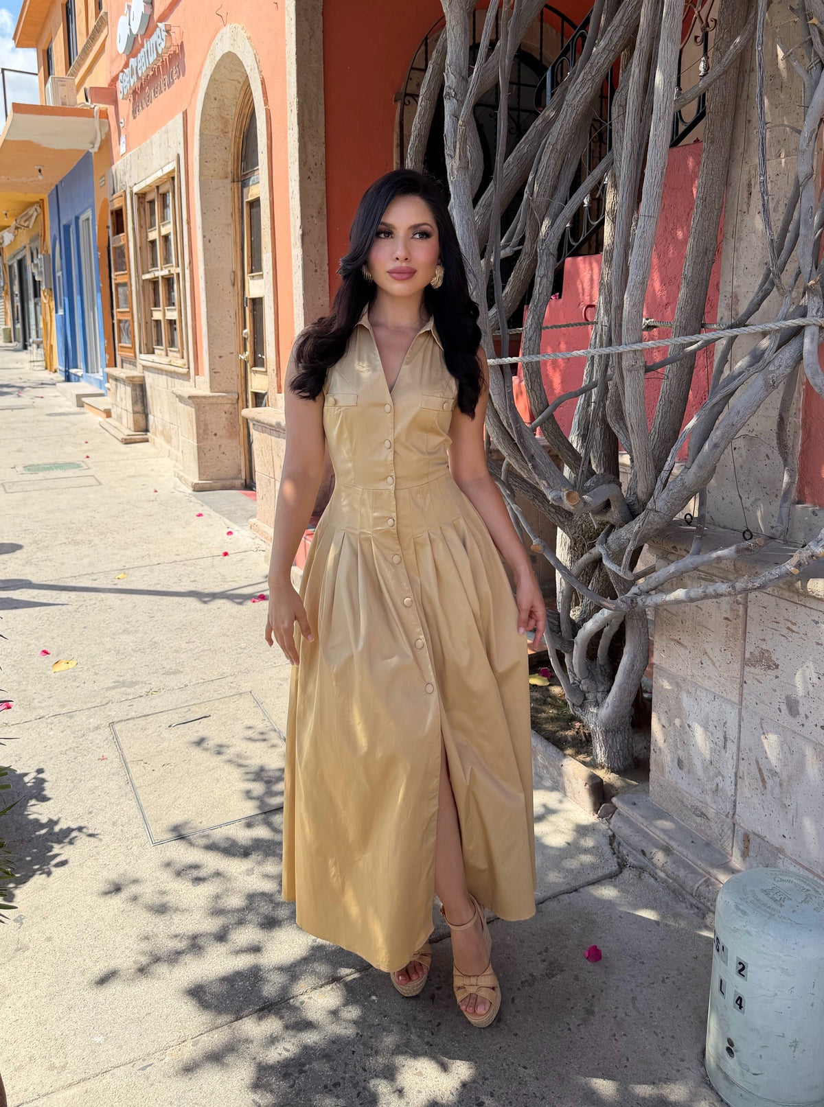 Rosaura Dress Beige